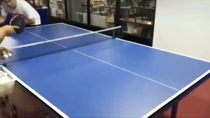 SPEEDS Bet Bat Pingpong Tenis Meja Permainan Pingpong Olahraga Ketangkasan Tangan 032-20