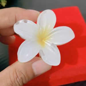 Jepit jeday kamboja viral jepit rambut Warna Putih 5CM plumeira hair clip termurah
