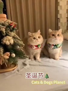 GREENPETS Cat Christmas Scarf Dog Bow Tie Cat Bib Knitted Saliva Towel Pet New Year Dress Up