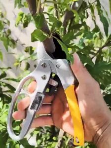 กรรไกรตัดกิ่ง กรรไกรตัดกิ่งไม้ ทำสวน กรรไกรตัดแต่งกิ่งไม้ 3 จังหวะ มีระบบล็อคด้าม เบาแรงกด ตัดง่าย อุปกรณ์จัดสวน ความแข็งสูง SK5 ใช้ในการตัดแต่งสวน