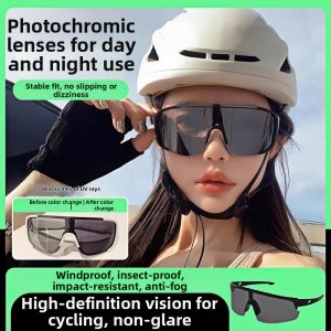 Windproof Anti-Glare Anti-Bug Day and Night Riding Goggles