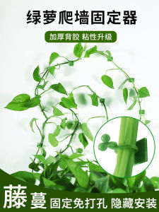 Đồ Dùng Vườn Cây Leo Treo Không Để Lại Dấu Vết Kẹp Treo Dây Leo Bằng Nhựa Dùng Một Lần Móc Treo Tường