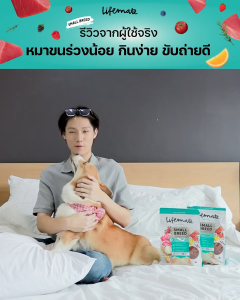 (2-3กิโล) Lifemate【อาหารสุนัข】ไลฟ์เมท อาหารเม็ดสุนัข ครบทุกสูตร ผิวหนังสุขภาพดี ด้วย Omega 3 และ 6