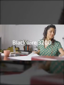 Poly Blackwire 3220 Stereo USB-C Headset +USB-C/A Adapter (93S87AA)