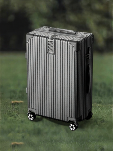 ZSO | Silent Large Capacity Password Protected Travel Luggage 20 inch