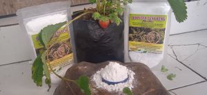 pupuk kelengkeng kemasan 250 gr original non oplos