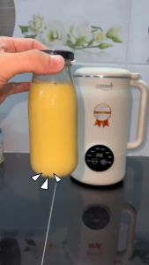 Máy làm sữa hạt 1000ml CREEN CR-1000 Pro chính hãng BH 12 tháng