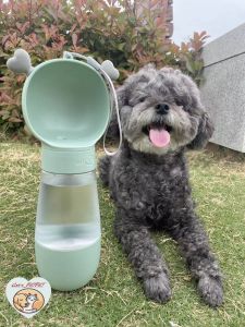 SG Local Pet Water Bottle Automatic recycling & auto dispenser portable plastic travel cat water bottle dog water bottle for walking