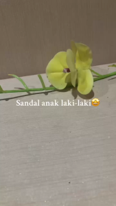 Sandal Anak Laki-Laki Baim Mobil Cars Model Terbaru 20/25 - 506E