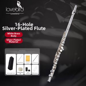 Lovebird | SFlute in C key Silver Gold-plated Flute Instrument