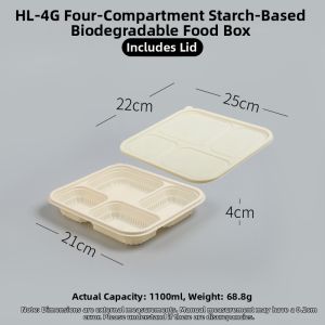 MOLORE | Biodegradable Two-compartment Meal Box Eco-friendly Disposable Rectangular Container