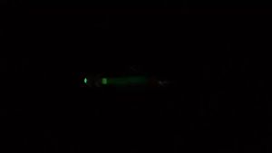 5pcs Glow Horizontal Squid Jig Egi Set 8.5cm Flash Tinsel Wood Shrimp Lure Luminous Octopus Cuttlefish Bait Sea Fishing Tackle