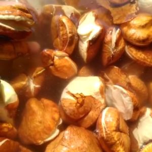 Buah Gayam Mentah Fresh 1kg: Manfaat & Penggunaannya