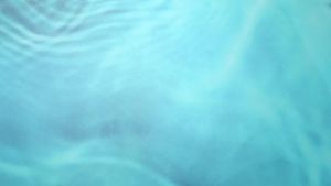 Boao 48 Pcs Plastic Fish Toys Small Tropical Fish Figure Play Set Sea Animals Bath Toys Tropical Party Favors Assorted Ocean Creatures Figures Birthday Learning Educational Party Supplies