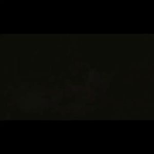 Black Myth: Wukong Ruyi Golden Hoop Stick Game Peripheral Metal Craft Ornament Staff Model 22cm