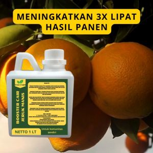 Pupuk Semprot Pelebat JERUK MANIS Pupuk Pelebat JERUK MANIS Pupuk JERUK MANIS ZPT