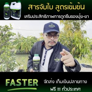 สารจับใบ FASTER ยาจับใบประสิทธิภาพสูง สูตรเข้มข้น (ขนาด 2 ลิตร)