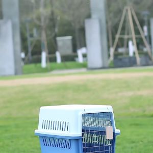 Lồng vận chuyển chó mèo lồng vận chuyển hàng không cho chó mèo