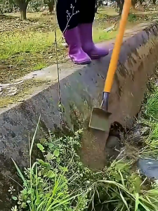 พลั่วแซะหญ้า มีจอบเล็กถากหญ้า พลั่ว สวยผ้า เสียมแซะหญ้า เครื่องมือทำสวน ทำความสะอาดถน ดูแลผิวหน้า ความลึกของจอบแบน จอบถากหญ้าคมๆ