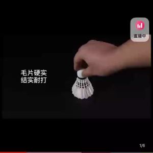 CHB Badminton 12 pack not easily broken goose feather ball durable outdoor training practice badminton b