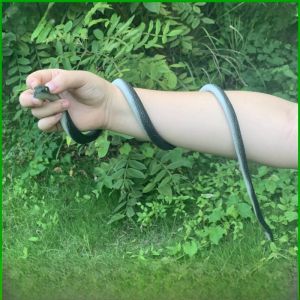 Large Artificial Snake Kids Toy Scary Spoof Soft Rubber Snake Fake Snake Trick Static Animal Decoration Model