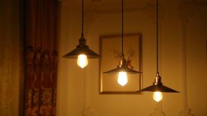 จี้ไฟ LOFT Ceiling Lights โคมไฟแขวนเพดาน สไตล์โมเดิร์น เส้นผ่าศูนย์กลาง22CM-36CM