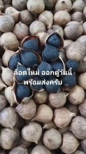 (Set 3 ซอง)กระเทียมดำแบบแกะเปลือกพร้อมทาน Super Black Garlic ขนาด 50 กรัม/ซอง