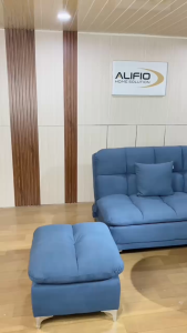 ALIFIO/Sofa bed/Type Luxury/Minimalis modern/Elegant.