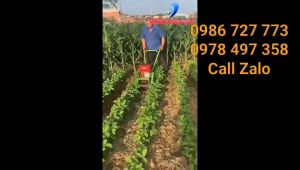 Máy xạc cỏ ngô vun gốc ngô đậu loại nhỏ gọn tại Cao Bằng