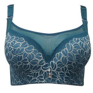 Thin Cup Push Up Bra Mesh Lace Bras For Women Plus Size Underwear Brassiere Elegant Pattern Lingerie