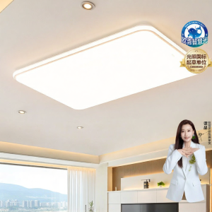 OPPLE | High Brightness Full Spectrum Eye-protection Ceiling Light