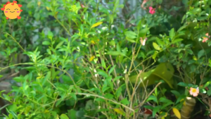 Sách Tranh Khoa Học Cho Trẻ Từ 6 Tuổi Trải Nghiệm 24 Giờ Sống Ở Nam Cực Vũ Trụ Rừng Nhiệt Đới -  (Đinh Tị)