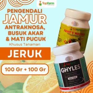 Fungisida Topfarm / Obat Jamur Pada Pohon Jeruk / Obat Jamur Jeruk / Obat Jamur Pada Batang Jeruk / Obat Jamur Batang Jeruk / Obat Jamur Obat Tanaman Jeruk / Obat Jamur Pohon Jeruk / Obat Layu Pohon Jeruk