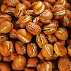 Roasted Licorice Pearl Broad Bean