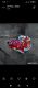 fish live
