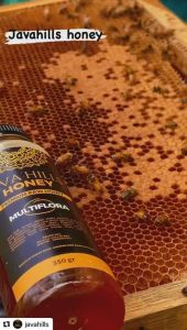 Madu Multiflora Blossom Java Hills: Manfaat & Cara Penggunaan