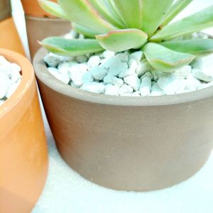 Chậu đất nung Bình Dương - Trụ 126 miệng chậu 12cm chiều cao 6cm