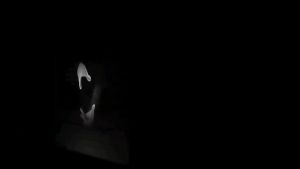 Explode Dice Magic Trick: A Fun & Easy Magic Prop for Kids