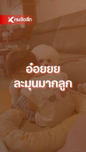 หนังสือคู่มือการเลี้ยง   สุนัขพันธุ์เล็ก