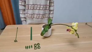 SG Stock -10Pcs Plant Clips Phalaenopsis Rod Anti-lodging Holders Support Garden Supplies