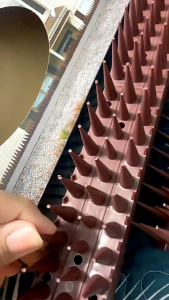 LOVIDA Malaysia 12PCS Plastic Defender Cat Squirrel Theif Animals Repellent Keep Pigeon Crow Fence Rail Roof Security Bird Spikes Animals Repellent to Keep off Pigeon Crow Plastic Spikes Fence to Defender Birds and Small Animals Security for Railing and