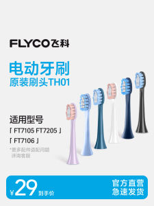 Soft Bristle Electric Toothbrush Replacement Head Single Pack Compatible with FT7105/FT7106/FT7205 by Flyco Oral Care Device