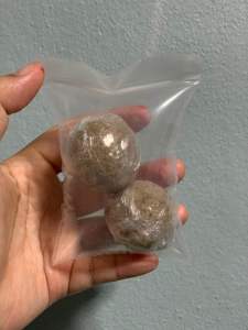 เชื้อเห็ดปลวกสายพันธุ์ใหญ่ในป่าแท้100%