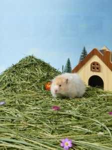 TIYES | Timothy Grass Segment Bedding for Hamsters and Rabbits