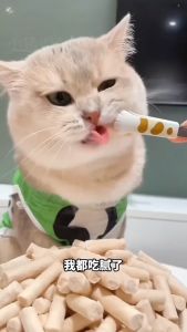 Freeze Dried Goat Milk Sticks Pet Snack Cat Dog