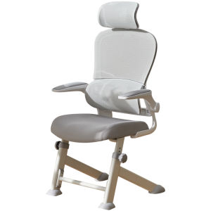 BOJOJAN | Ergonomic Childrens Study Chair