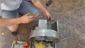 Máy Thái Hành Tỏi Củ Quả Điện Inox 304 BH 12 Tháng