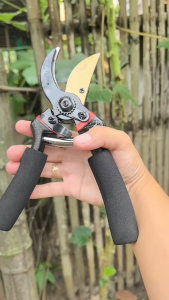 SK5 High Carbon Steel Titanium Plated Rust-Proof Garden Pruning Shears Garden Pruning Shears Are Suitable For Pruning Branches Super Sharp And Easy To Prune