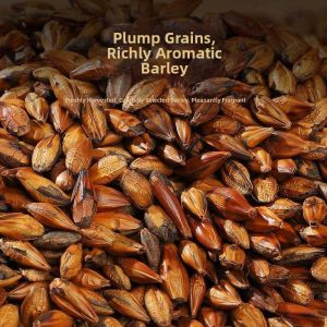 Gastric Health Roasted Barley Tea 500g