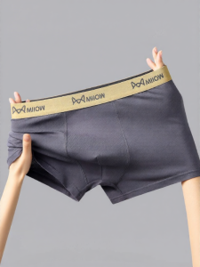MiiOW | Breathable Cotton Antibacterial Mens Boxer Briefs
